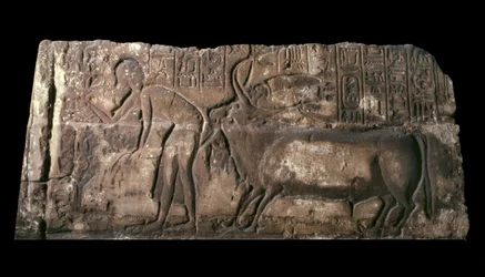 Sandsteinsblokk som viser Satepatenkhay som presenterer en offerokse, 1333-23 f.Kr. sandstein